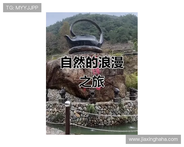 探索台北姚明山的自然风光与人文魅力,感受山野间的宁静与和谐